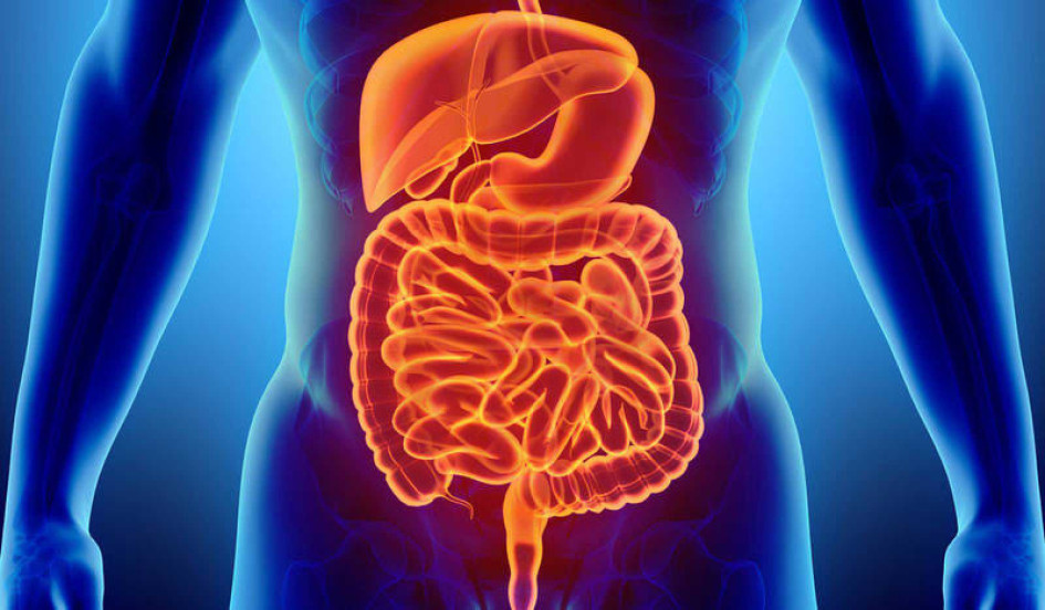 Intestinal Salud
