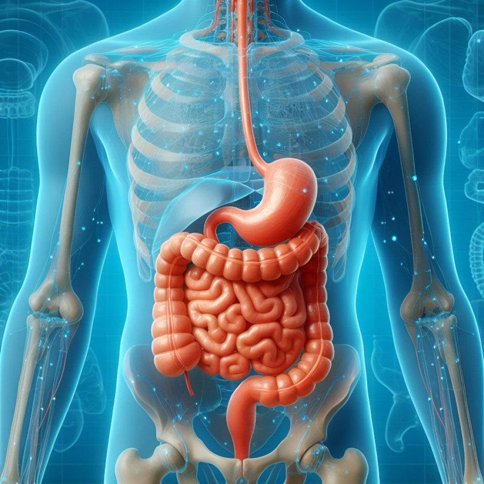 Intestinos Salud