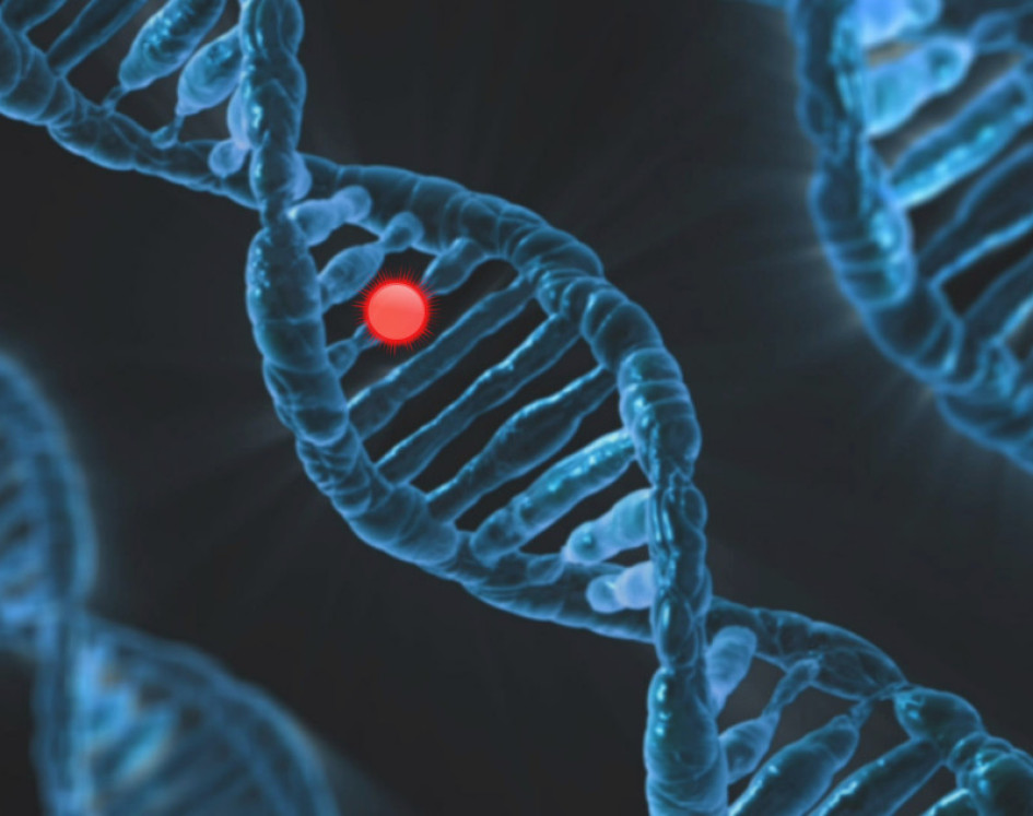 Ciencia Salud