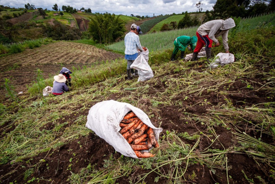Con subsidios a la tasa de interés y periodos de gracia, Finagro y el Banco Agrario buscan acelerar la compra de tierras. Repase el abecé para acceder al beneficio que impulsa la reforma agraria, también conocida como Reforma Rural Integral (punto 1 del acuerdo de paz firmado con las Farc). Con subsidios a la tasa de interés y periodos de gracia, Finagro y el Banco Agrario buscan acelerar la compra de tierras. Repase el abecé para acceder al beneficio que impulsa la reforma agraria, también conocida como Reforma Rural Integral (punto 1 del acuerdo de paz firmado con las Farc).