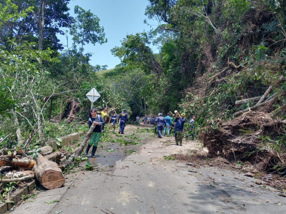 Árboles caídos y 10 familias afectadas por fuertes lluvias en Norcasia, Caldas Árboles caídos y 10 familias afectadas por fuertes lluvias en Norcasia, Caldas