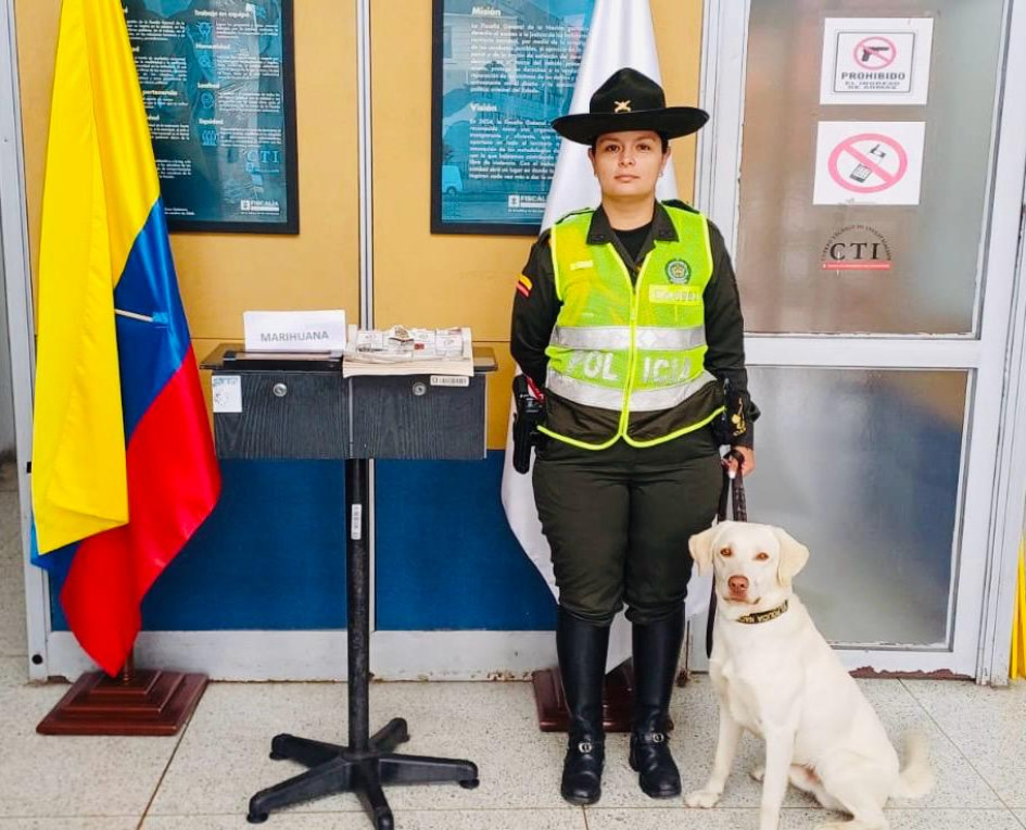 El perro antidrogas Axel detectó el libro en el que escondían los cigarrillos de marihuana. El perro antidrogas Axel detectó el libro en el que escondían los cigarrillos de marihuana.