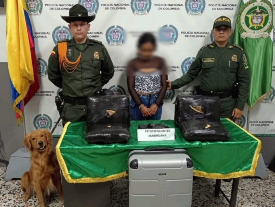 Thor halló los estupefacientes dentro de una maleta, propiedad de una mujer. Thor halló los estupefacientes dentro de una maleta, propiedad de una mujer.