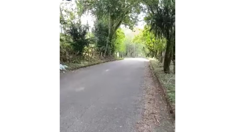El accidente en el que un vehículo fantasma atropelló a un ciclista manizaleño ocurrió en jurisdicción de San José (Caldas). El accidente en el que un vehículo fantasma atropelló a un ciclista manizaleño ocurrió en jurisdicción de San José (Caldas).