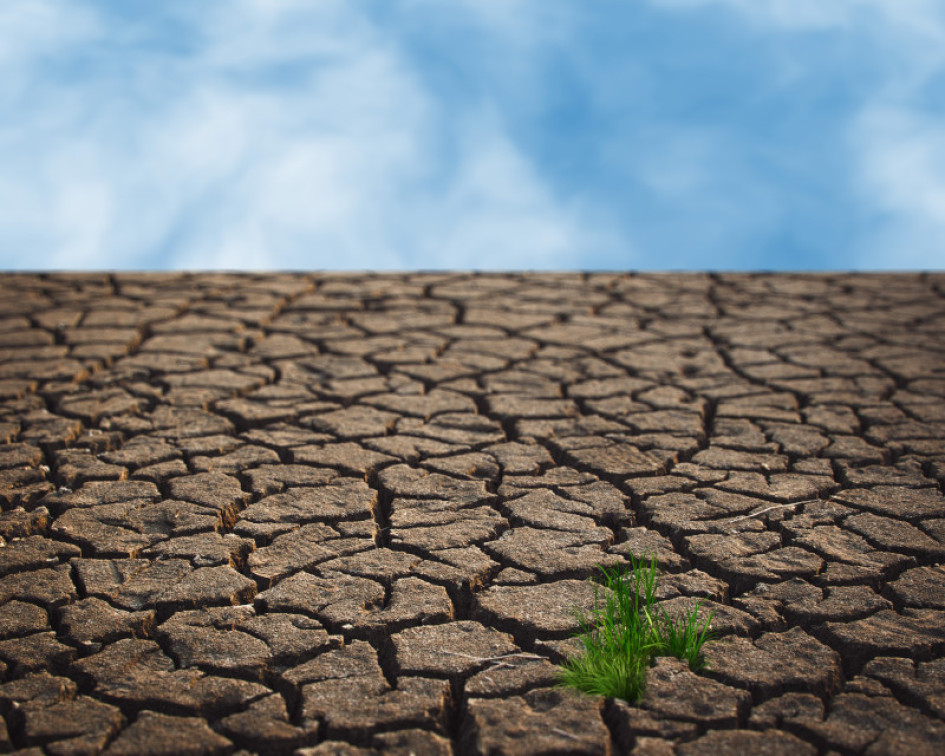 Cambio climático Medioambiente