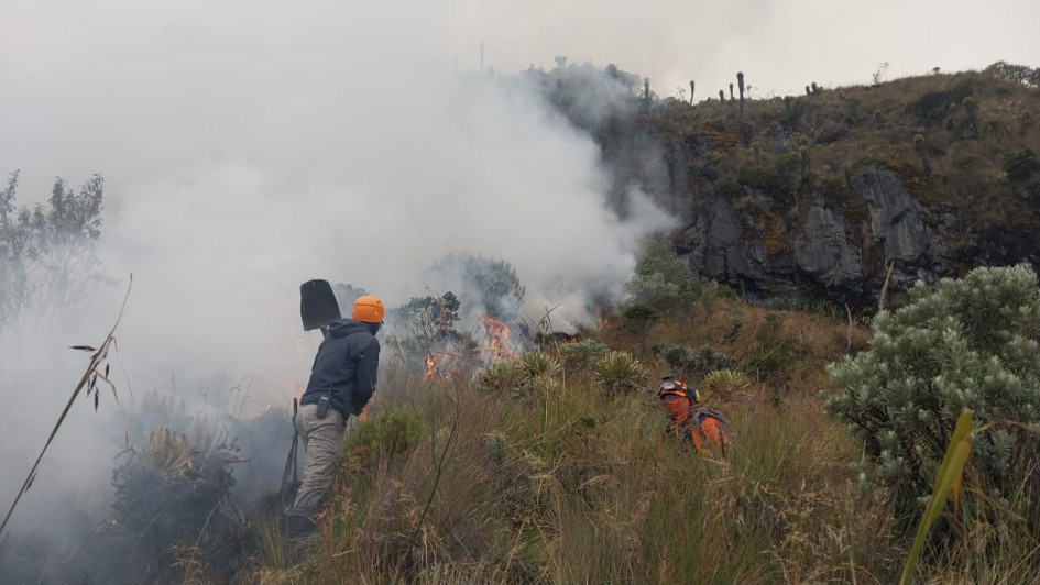 Organismos de socorro de Manizales y Villamaría (Caldas) trabajan para extinguir el incendio forestal en el PNN Los Nevados, que ya ha sido controlado en un 70%. Organismos de socorro de Manizales y Villamaría (Caldas) trabajan para extinguir el incendio forestal en el PNN Los Nevados, que ya ha sido controlado en un 70%.