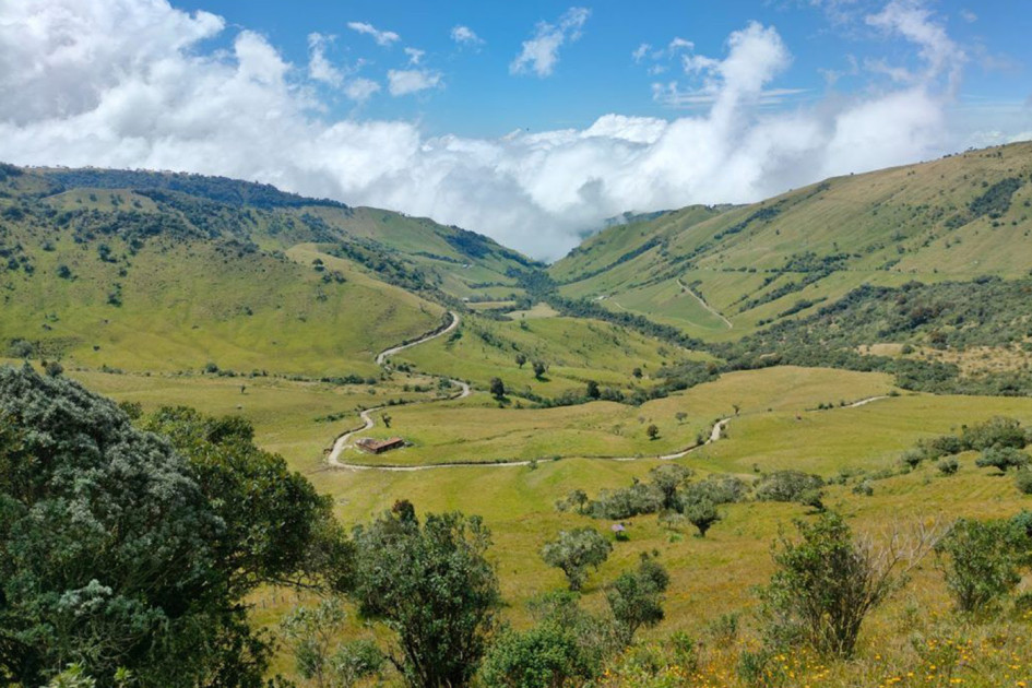 La Reserva Forestal Río Blanco es un pulmón verde para Manizales. La Reserva Forestal Río Blanco es un pulmón verde para Manizales.