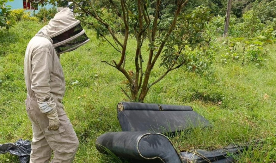 Bomberos controlan abejas en barrio de Manizales Así se realizó el operativo para garantizar la seguridad de la comunidad. Piden hacer mejor disposición de las basuras.