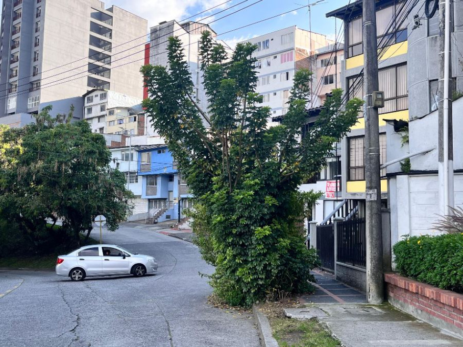 Foto Luis Trejos /Q’HUBO Este es el árbol que, según los residentes, obstruye la visibilidad de los conductores y peatones en el barrio Baja Leonora. Foto Luis Trejos /Q’HUBO Este es el árbol que, según los residentes, obstruye la visibilidad de los conductores y peatones en el barrio Baja Leonora.