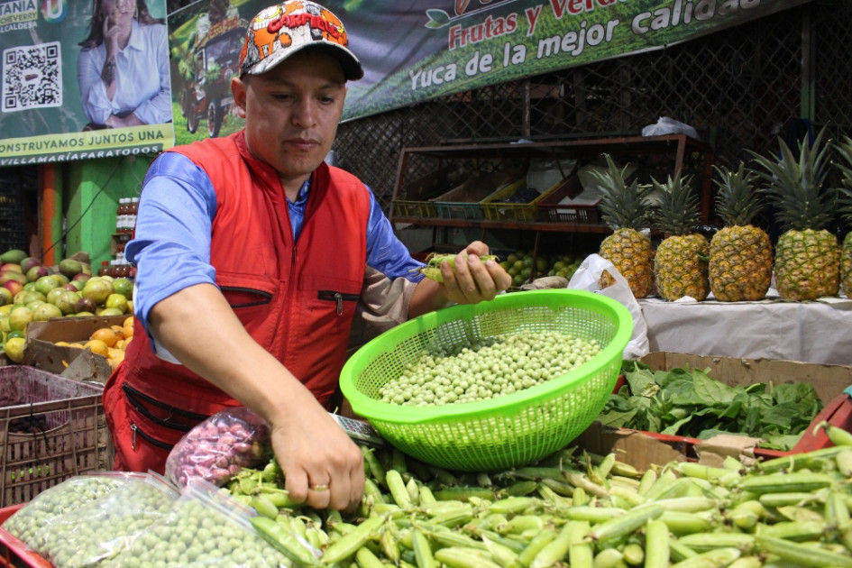 Las manos que reciben los productos, las que los cargan en bultos, las que los limpian y organizan, las que los venden y los compran, son las protagonistas de una danza diaria en la Galería de Manizales que provee a los hogares y a los negocios de la comida necesaria para que la ciudad viva. Las manos que reciben los productos, las que los cargan en bultos, las que los limpian y organizan, las que los venden y los compran, son las protagonistas de una danza diaria en la Galería de Manizales que provee a los hogares y a los negocios de la comida necesaria para que la ciudad viva.