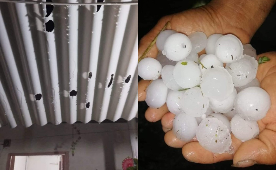El tamaño del granizo y así quedaron las tejas en viviendas de Quinchía (Risaralda). El tamaño del granizo y así quedaron las tejas en viviendas de Quinchía (Risaralda).