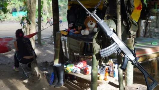 Los juegos de la guerra, miniserie documental sobre menores reclutados por las Farc