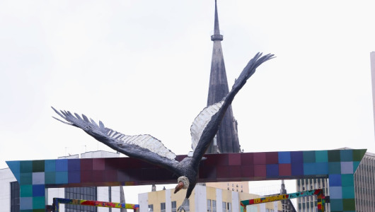 Esculturas de aves, monumentos a la biodiversidad que adornan Manizales