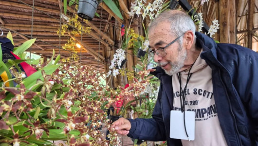 En 2011 Deportivo Pereira cortó racha de 34 partidos sin victorias contra Once Caldas, ¿lo repetirá en 2026?
