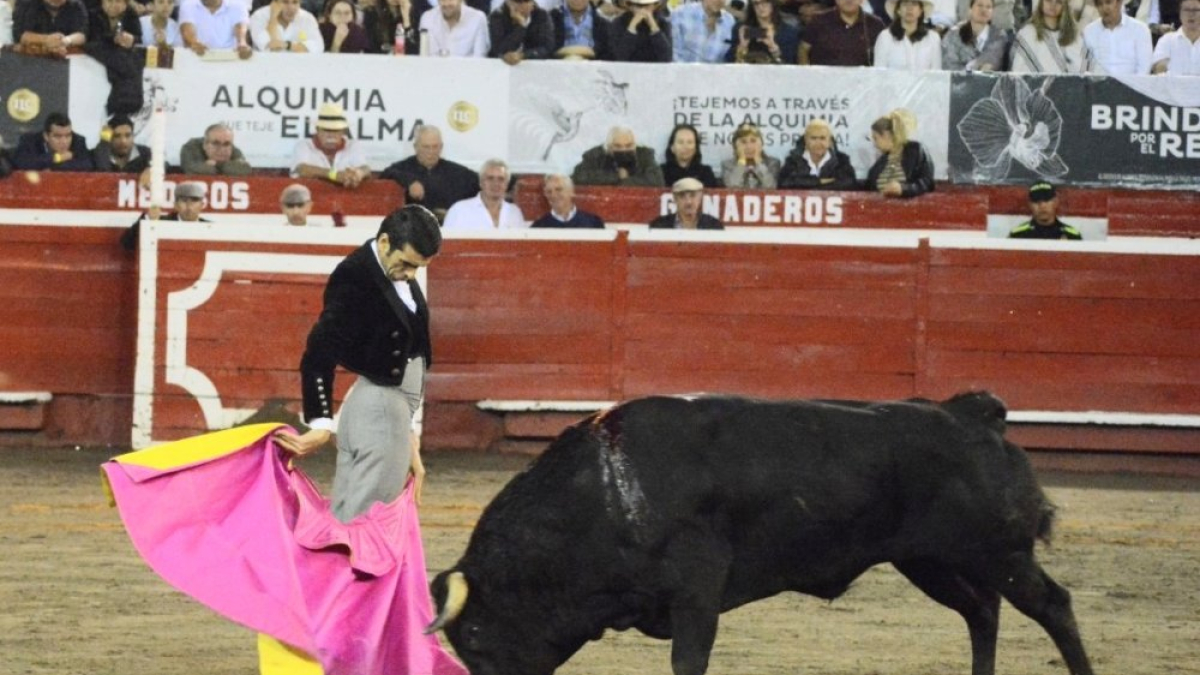 Chicuelina de Emilio de Justo al toro Clarinete de 376 kg.