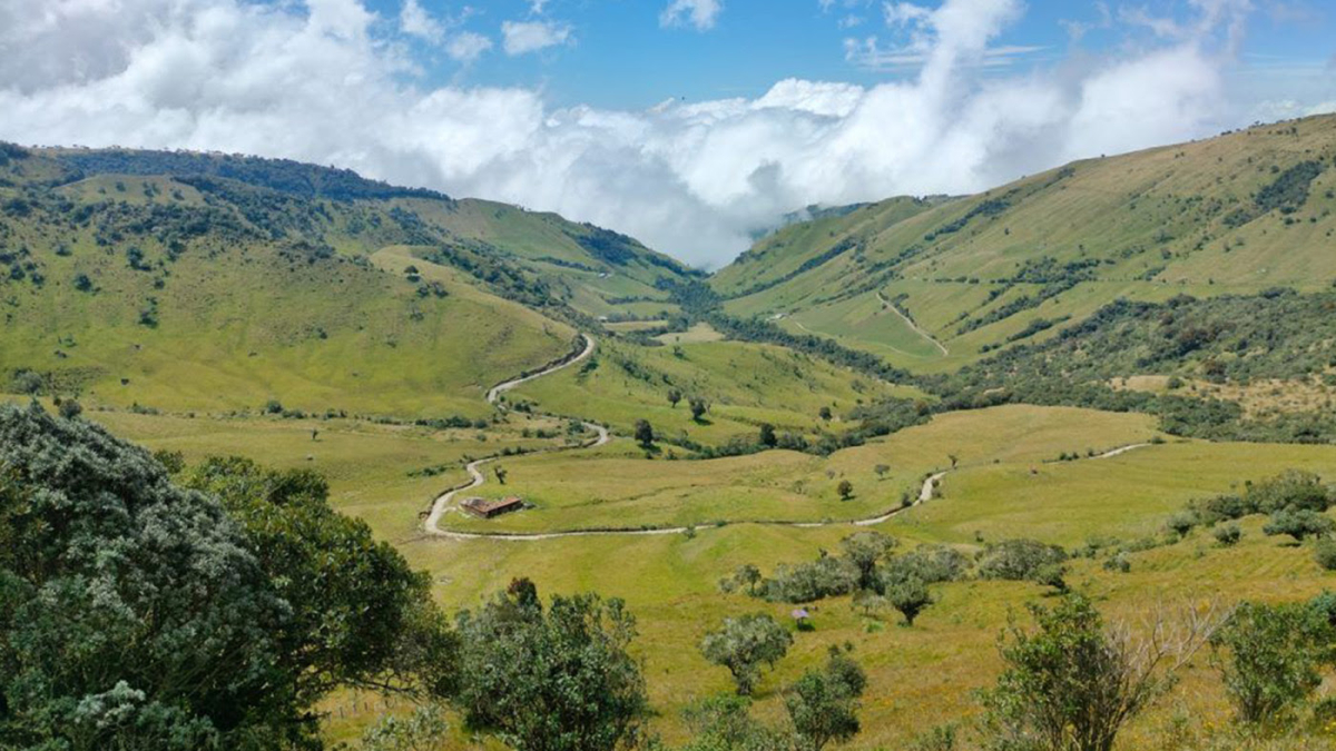 La Reserva Forestal Río Blanco es un pulmón verde para Manizales. 
