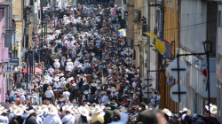 Reportan muerte de un caballo al finalizar la cabalgata de la Feria de Manizales