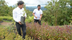 Caldas biodiversa: la semilla que germinó en la pandemia
