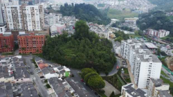 Concejo, a favor de que Camino de la Palma se vuelva reserva forestal