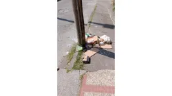 Molestos por las basuras en Villa Carmenza