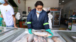 Ventas de huevo, pollo y pescado: con fe en la vigilia
