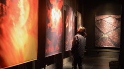 Festival Internacional de la Imagen: Retorno busca generar conciencia sobre el clima