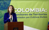 Cultivos de coca en Colombia aumentaron 43 % en el 2021