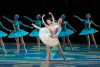 El show de 'El Lago de los Cisnes' regresa a Manizales 