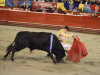 Noche de los nuevos talentos del toreo en inicio de la XXIV temporada de Toros y Ciudad