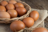 El huevo aumentó su producción en el 2022 y es el alimento más consumido en hogares