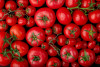 Precios de verduras y granos contrarrestan subida de frutas en la galería de Manizales
